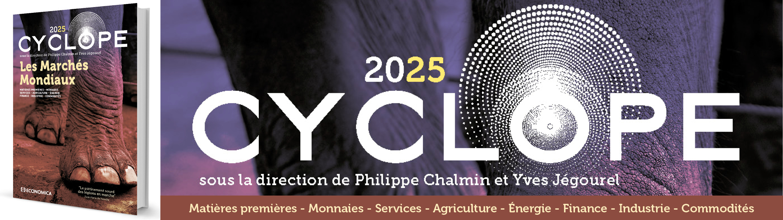 Chalmin P. et Jégourel Y.- Cyclope - Les marchés mondiaux 2025 - 9782717873375